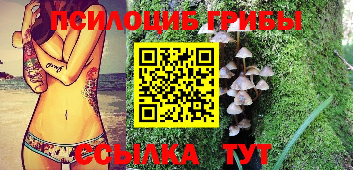 Зерноград  Галлюциногенные грибы MAGIC MUSHROOMS  Галлюциногенные грибы MAGIC MUSHROOMS  Вход с VPN 