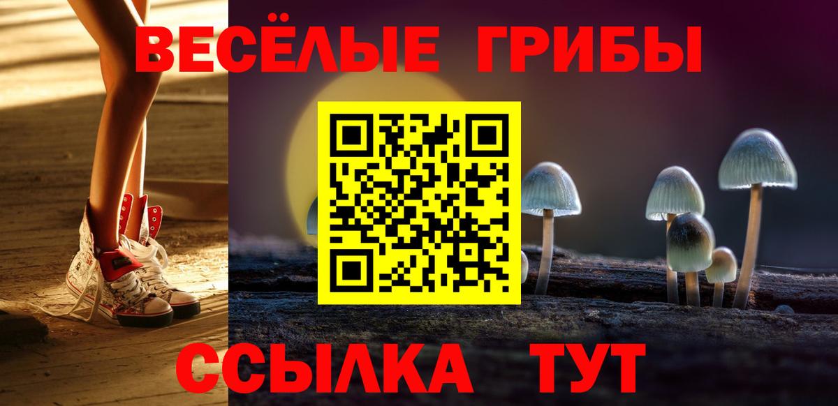 APVP Зерноград
